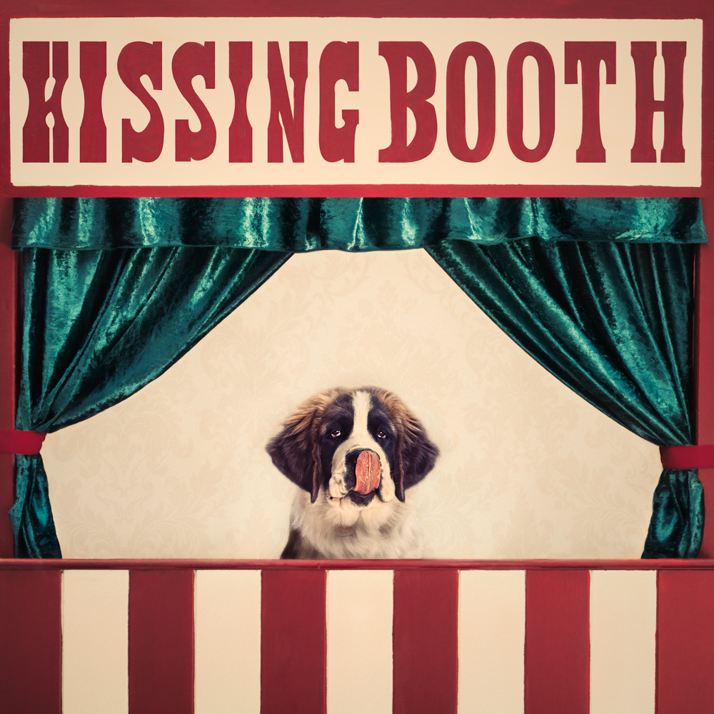 Saint Bernard puppy in a kissing booth lick his nose