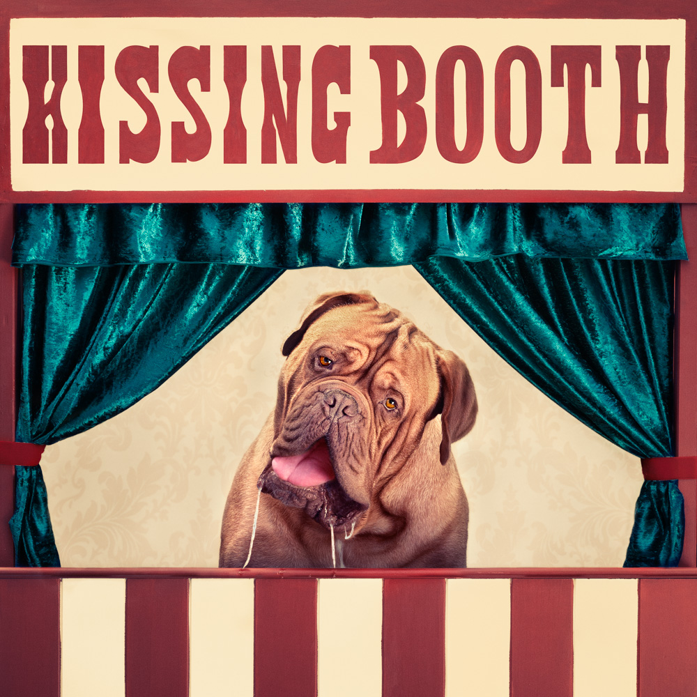 A french mastiff drolling in a kissing booth
