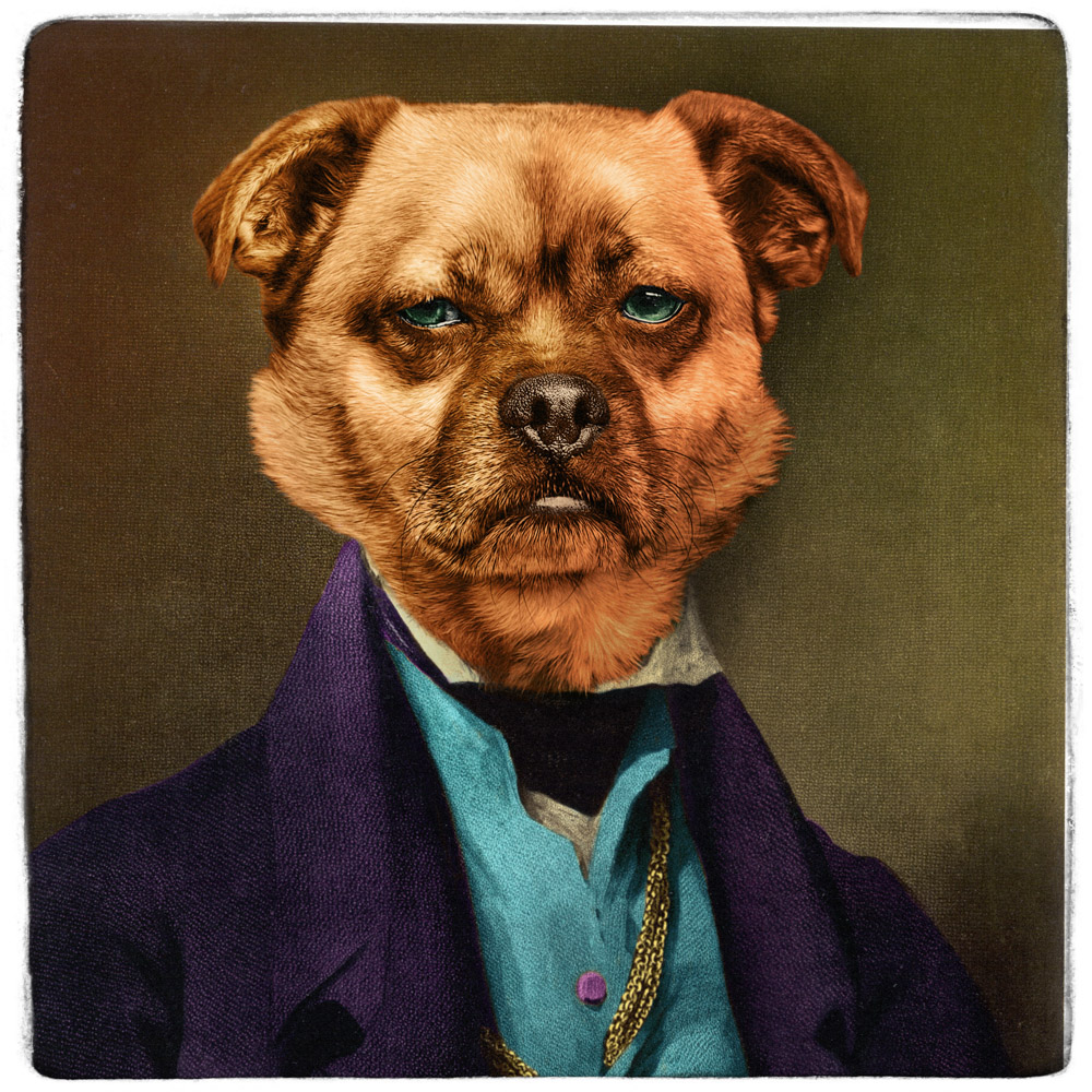 Dog head imposed into a vintage photo