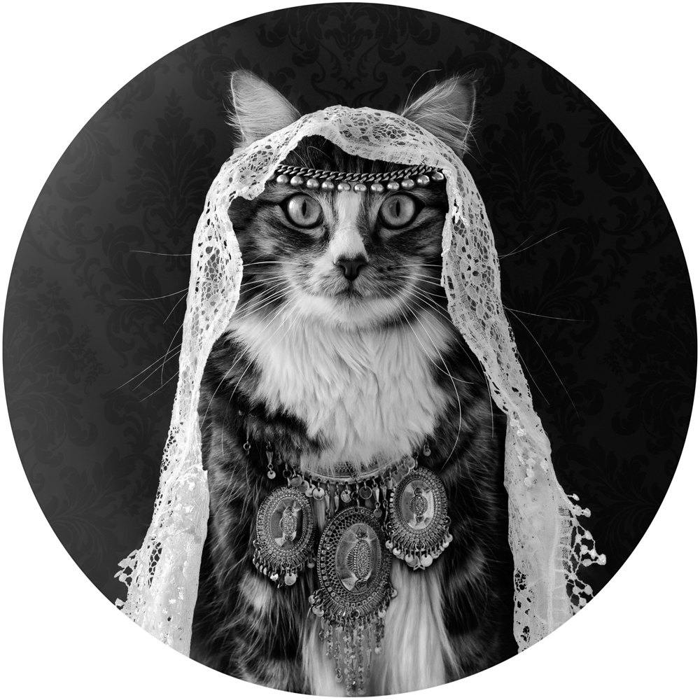 Tabby Cat wearing a white veil and a ethnic silver necklace
