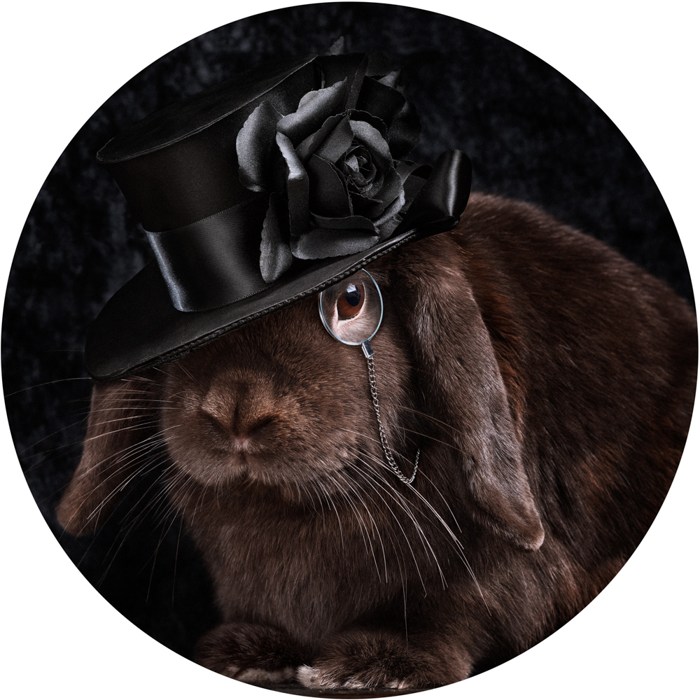 brown rabbit wearing a top hat and eye piece