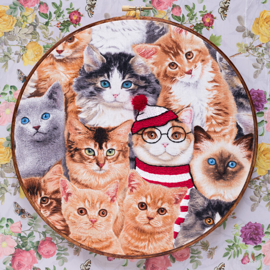 Cat embroidered as wheres wally